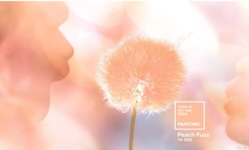 هلویی مخملی (Peach Fuzz) رنگ سال 2024 انتخاب شد.